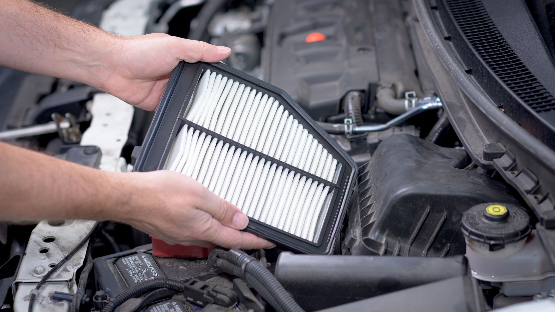 a man holding a air filter in front of a car.|a man in a white shirt and blue gloves working on a car engine.
