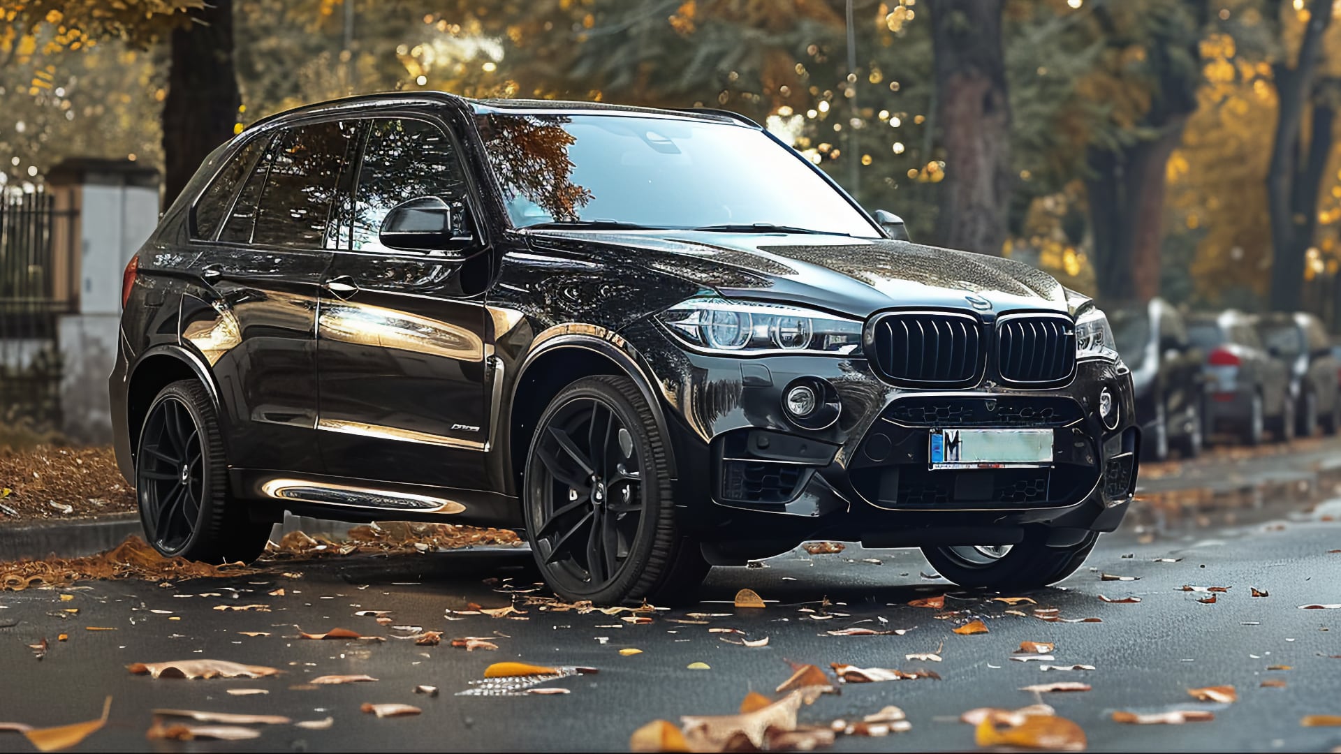 A black BMW X5, from one of the years to avoid, is parked on a street with leaves.|a black suv parked on the side of the road.