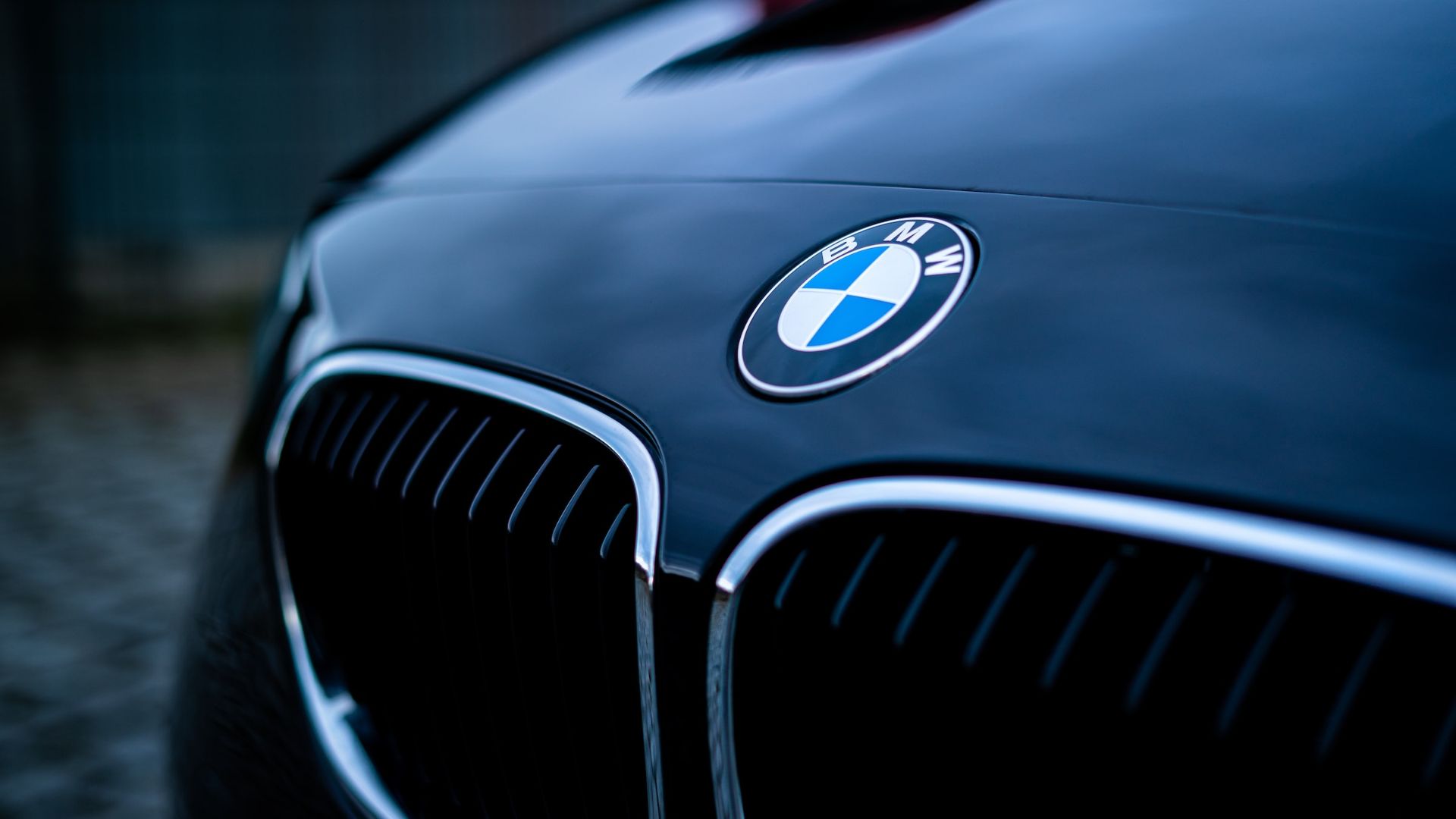 a close up of a bmw logo on a car.