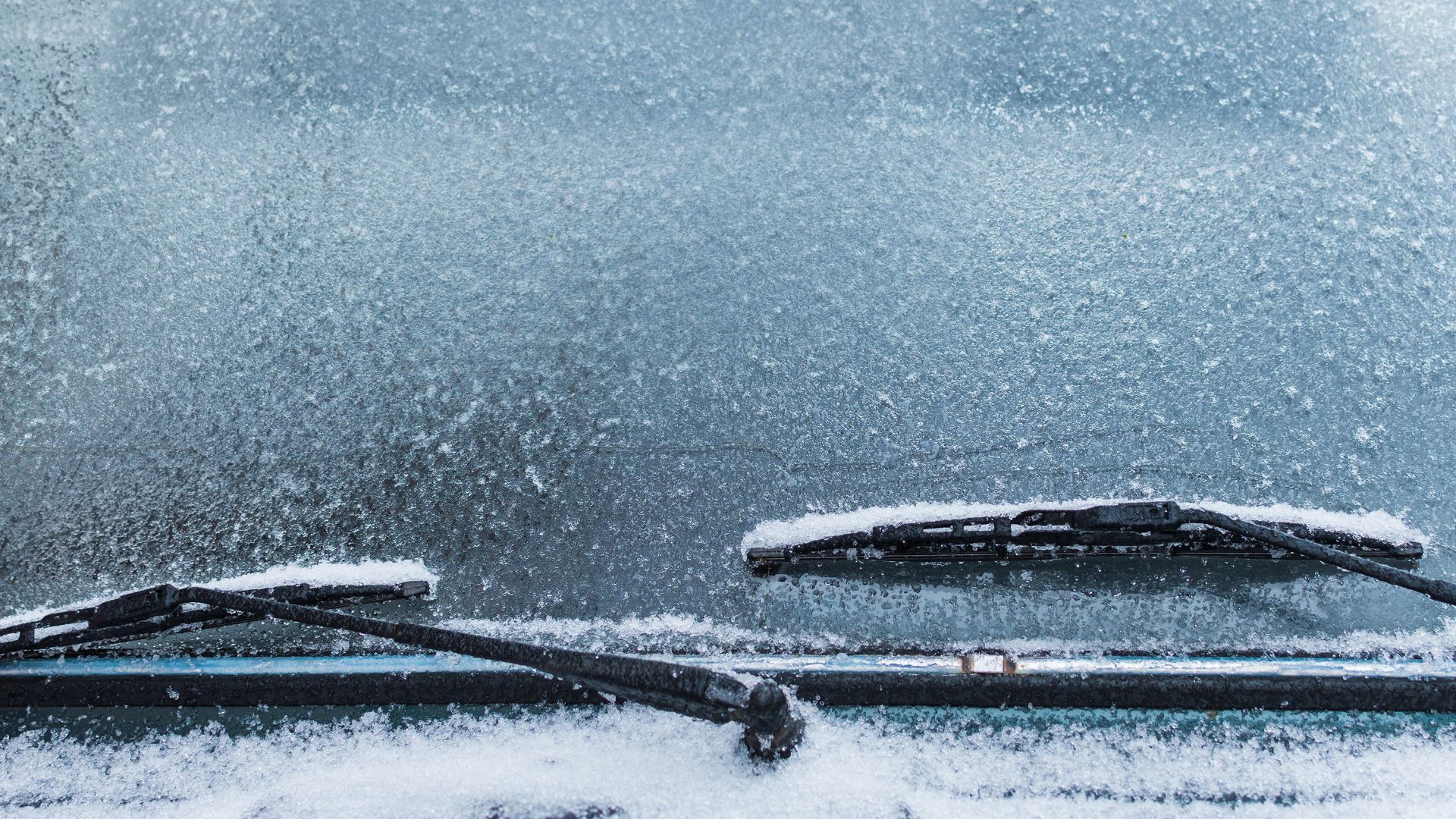 a couple of cars covered in snow next to each other.|a car covered in snow with trees in the background.|a person holding a bottle of water in their hand.|a person is cleaning a car with a brush.